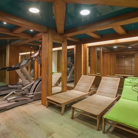 Pierre & Premium La Ginabelle 4* Chamonix