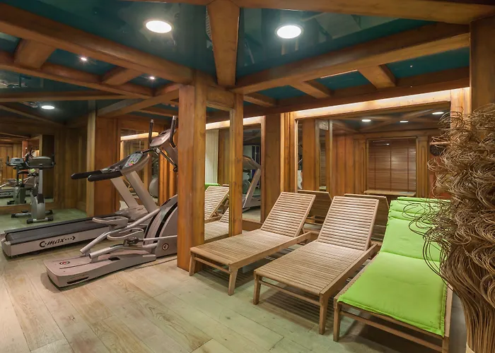 Pierre & Premium La Ginabelle 4* Chamonix